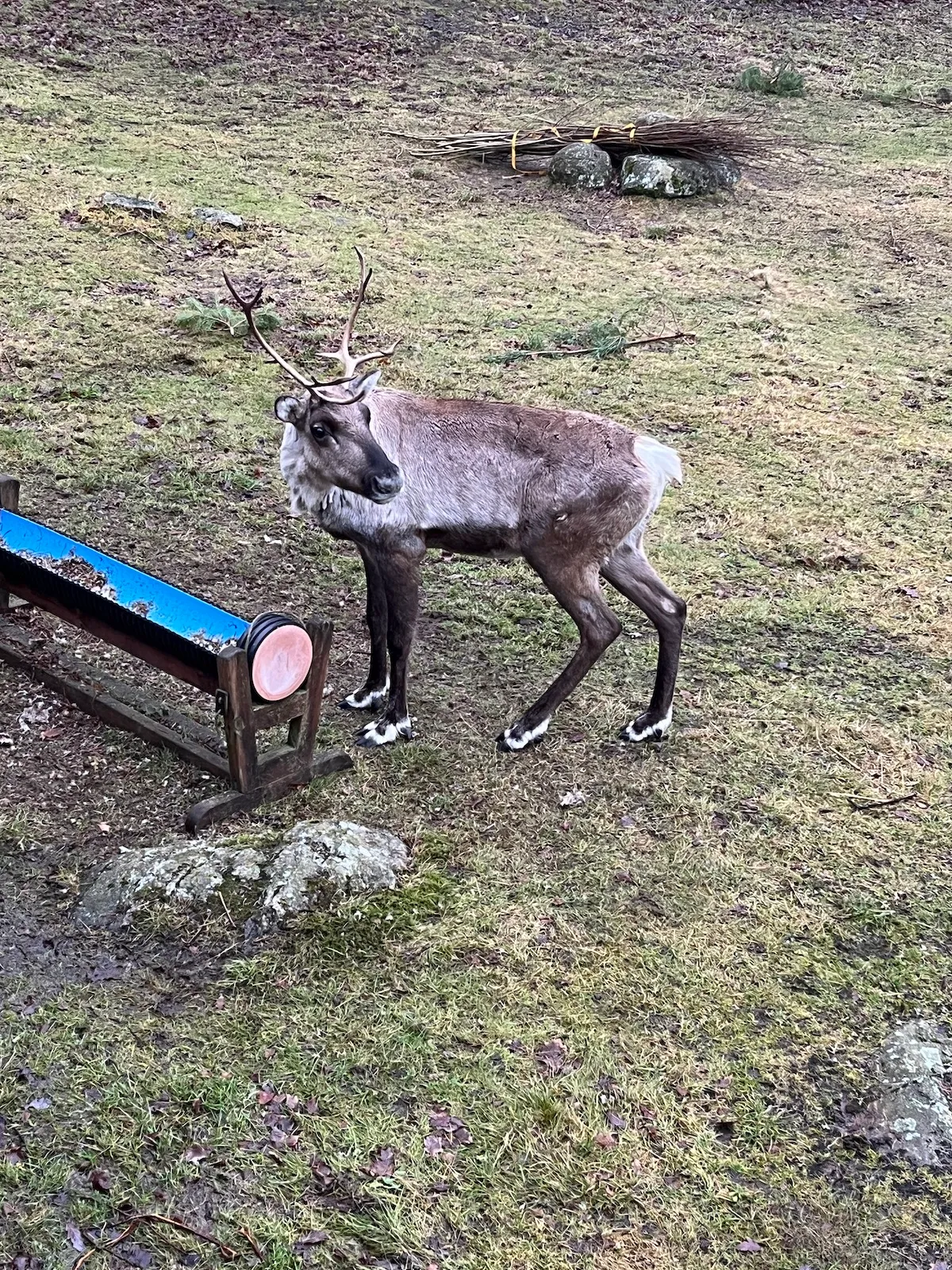 Album photo de Göteborg, semaine 1