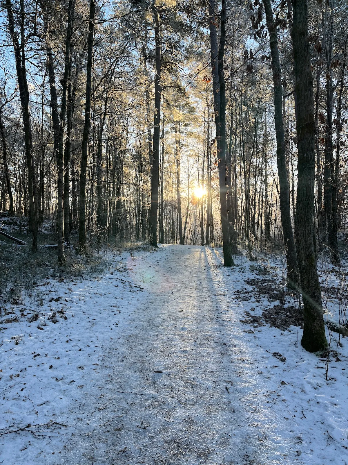 Album photo de Göteborg, semaine 2