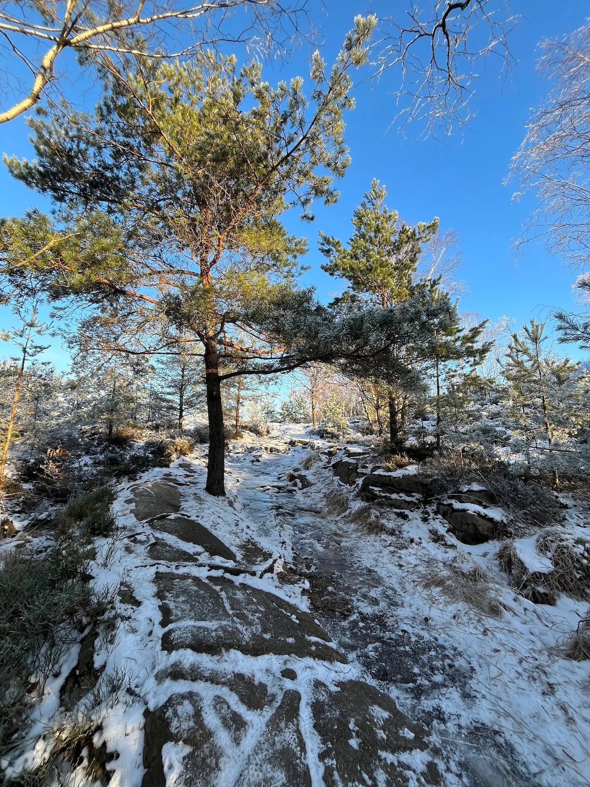 Album photo de Göteborg, semaine 2