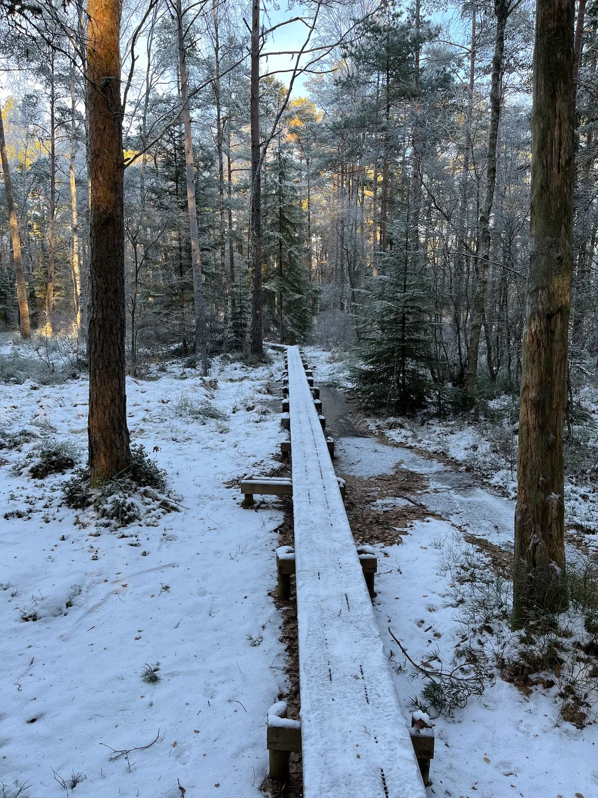 Album photo de Göteborg, semaine 2